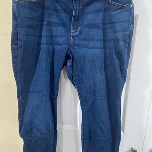 Lane Bryant Women's Straight Leg Blue Jeans